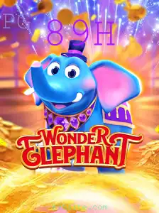 Explorando o Maravilhoso Mundo de WonderElephant: Um Guia Completo